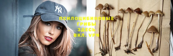 каннабис Арсеньев