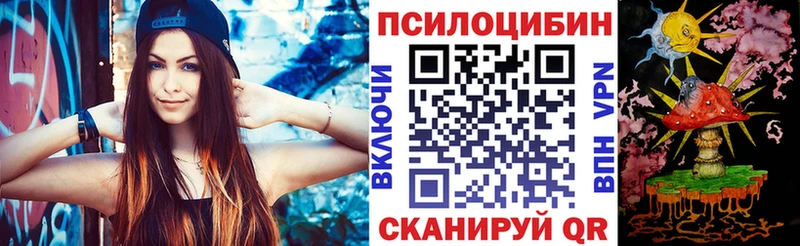 Псилоцибиновые грибы Cubensis  Купить где  Таруса 